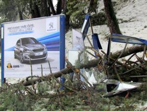 Žled 2014, foto M. Zver (76)